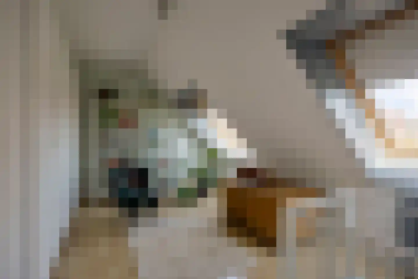 Vlasstraat 18 Purmerend thumbnail 30