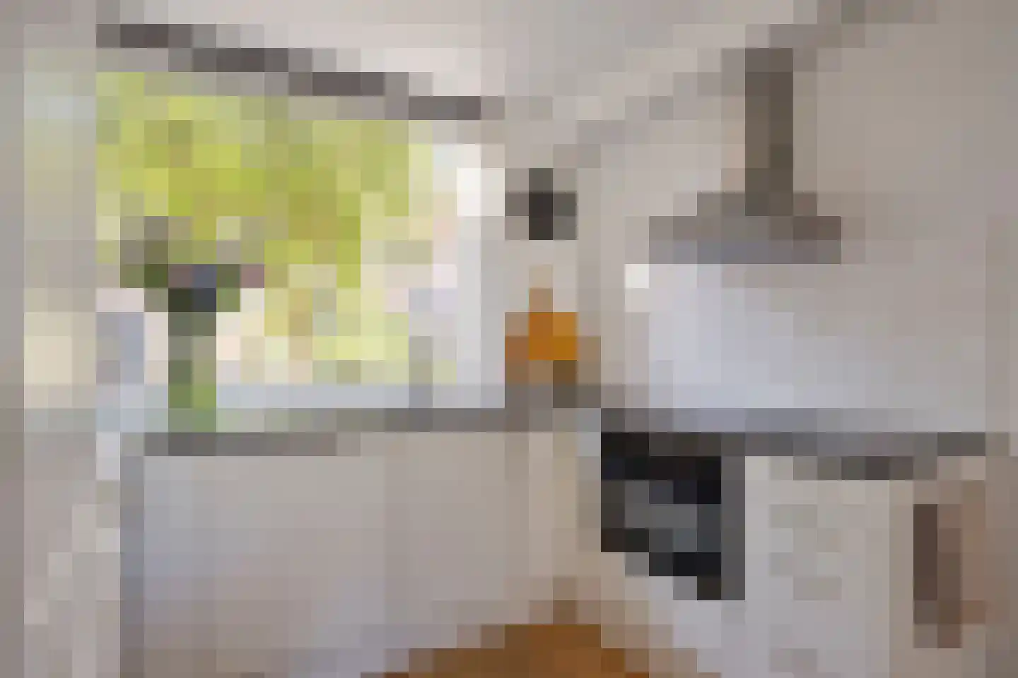 Vlasstraat 18 Purmerend thumbnail 4