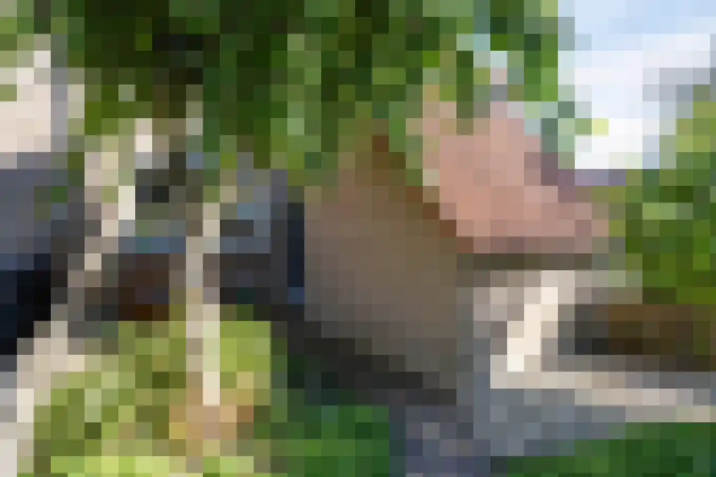 Vlasstraat 18 Purmerend thumbnail 5