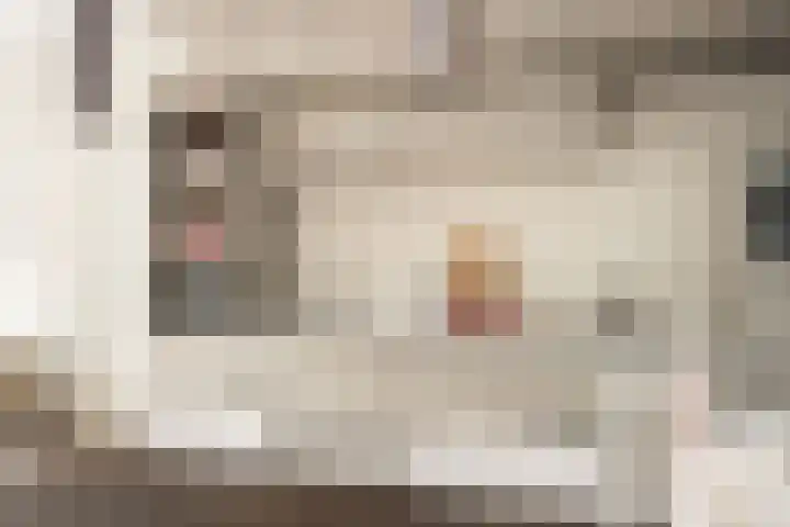 Vlasstraat 2 Utrecht thumbnail 6