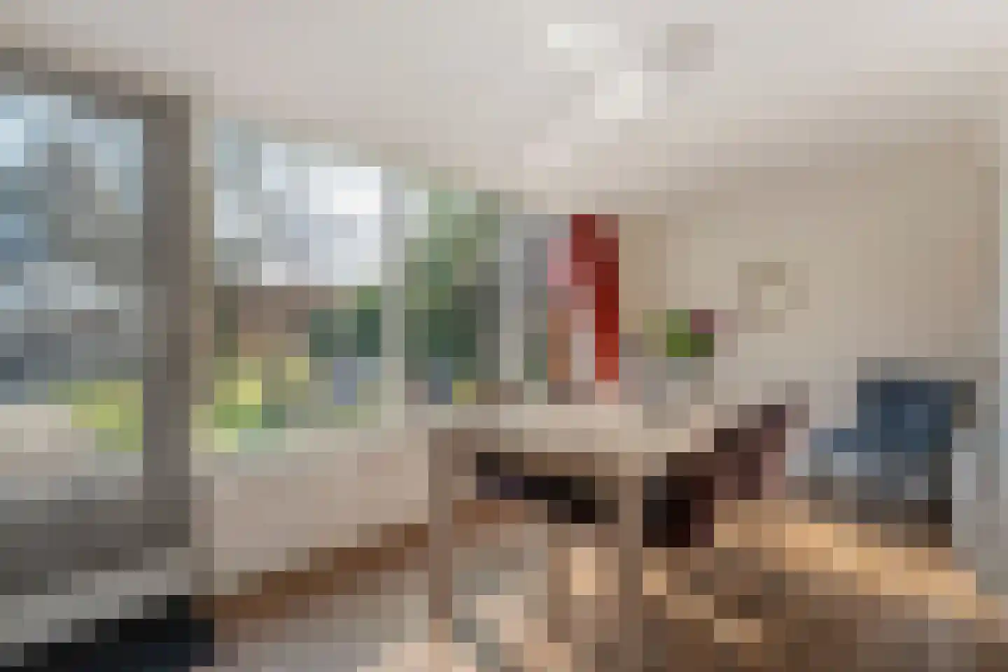 Vlasstraat 20 Diever thumbnail 12
