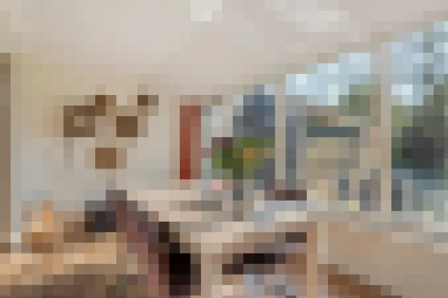 Vlasstraat 20 Diever thumbnail 14