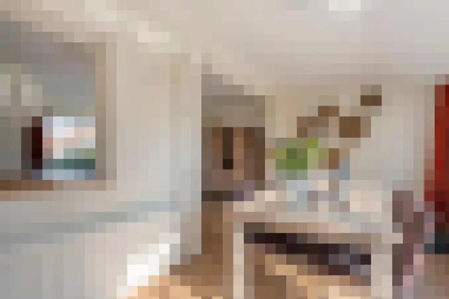 Vlasstraat 20 Diever thumbnail 15