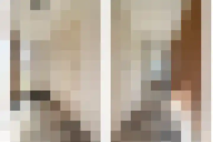 Vlasstraat 20 Diever thumbnail 16