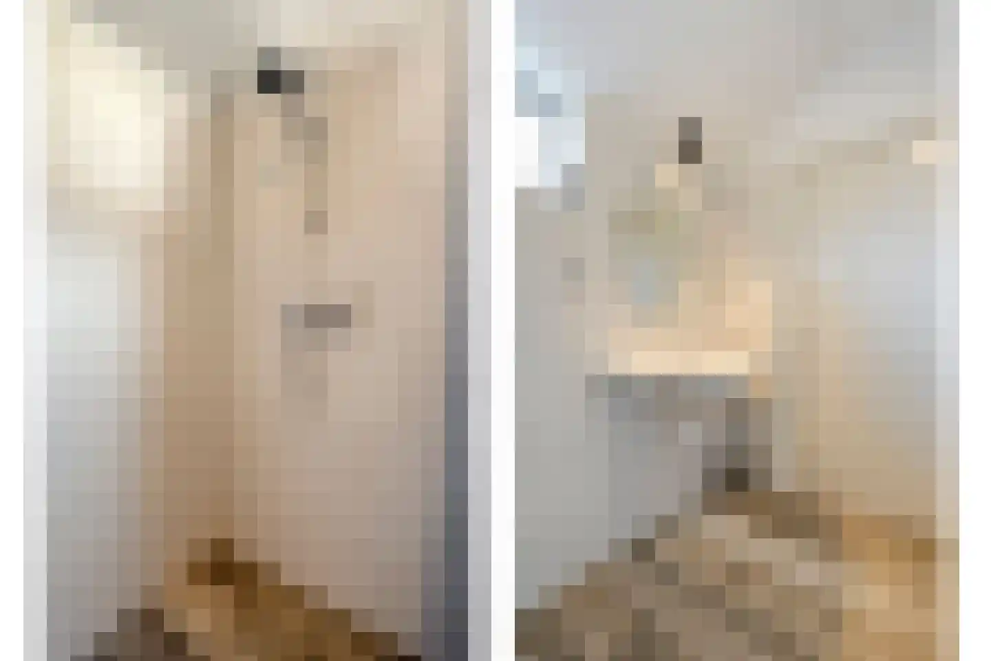 Vlasstraat 20 Diever thumbnail 18
