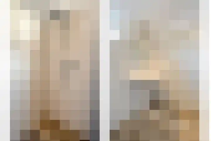 Vlasstraat 20 Diever thumbnail 18