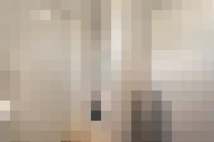 Vlasstraat 20 Diever thumbnail 19