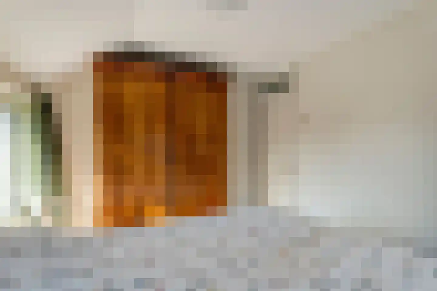 Vlasstraat 20 Diever thumbnail 22