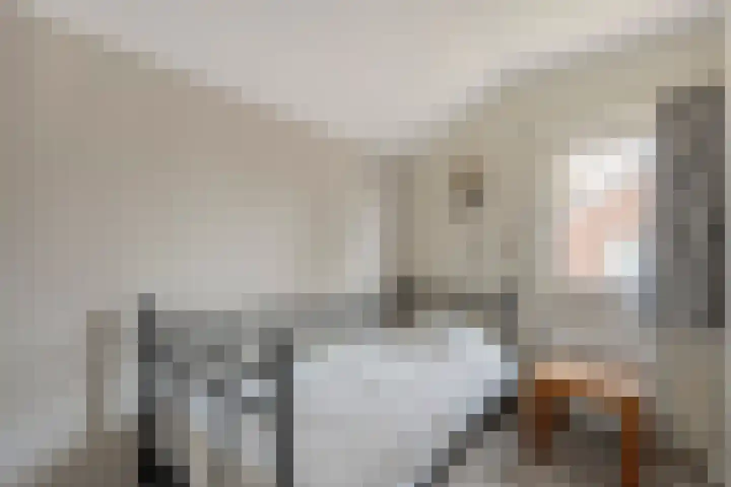 Vlasstraat 20 Diever thumbnail 23