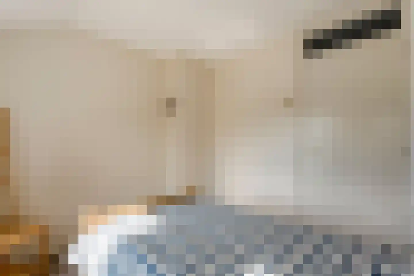 Vlasstraat 20 Diever thumbnail 26