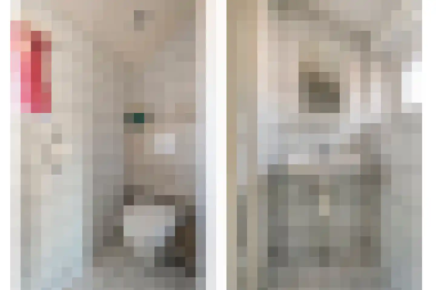 Vlasstraat 20 Diever thumbnail 27