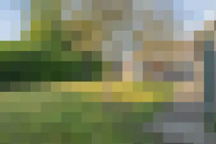 Vlasstraat 20 Diever thumbnail 36