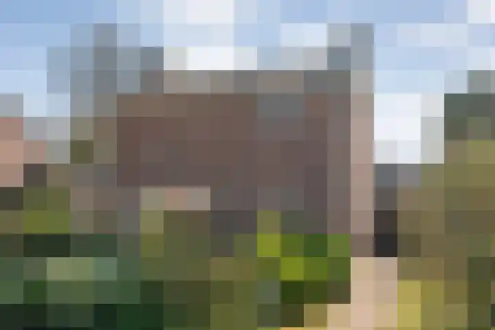 Vlasstraat 20 Diever thumbnail 37