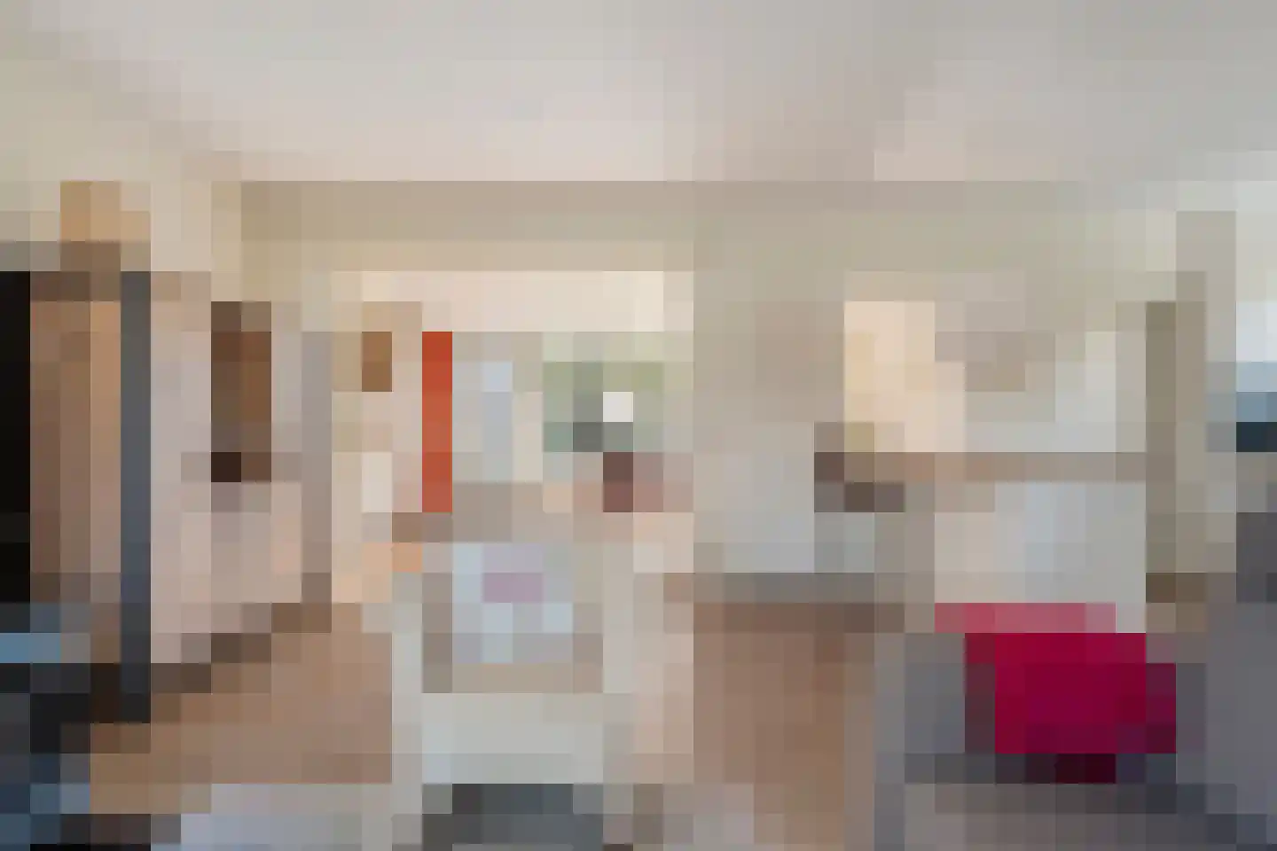 Vlasstraat 20 Diever thumbnail 4
