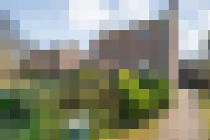 Vlasstraat 20 Diever thumbnail 40