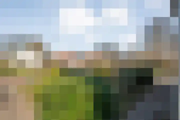 Vlasstraat 20 Diever thumbnail 41