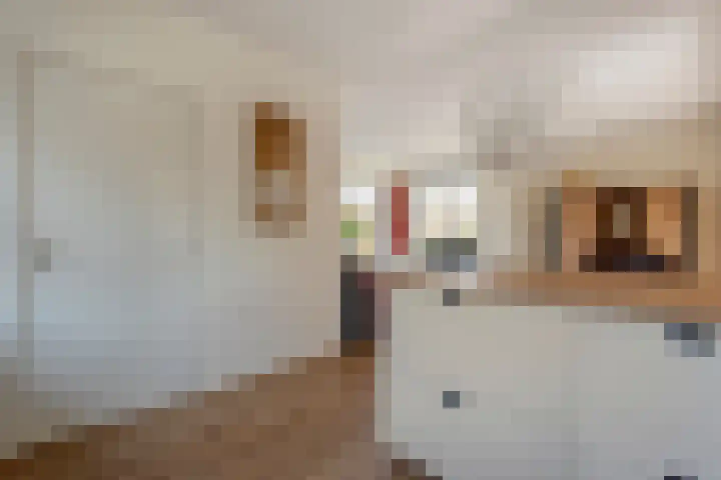 Vlasstraat 20 Diever thumbnail 7