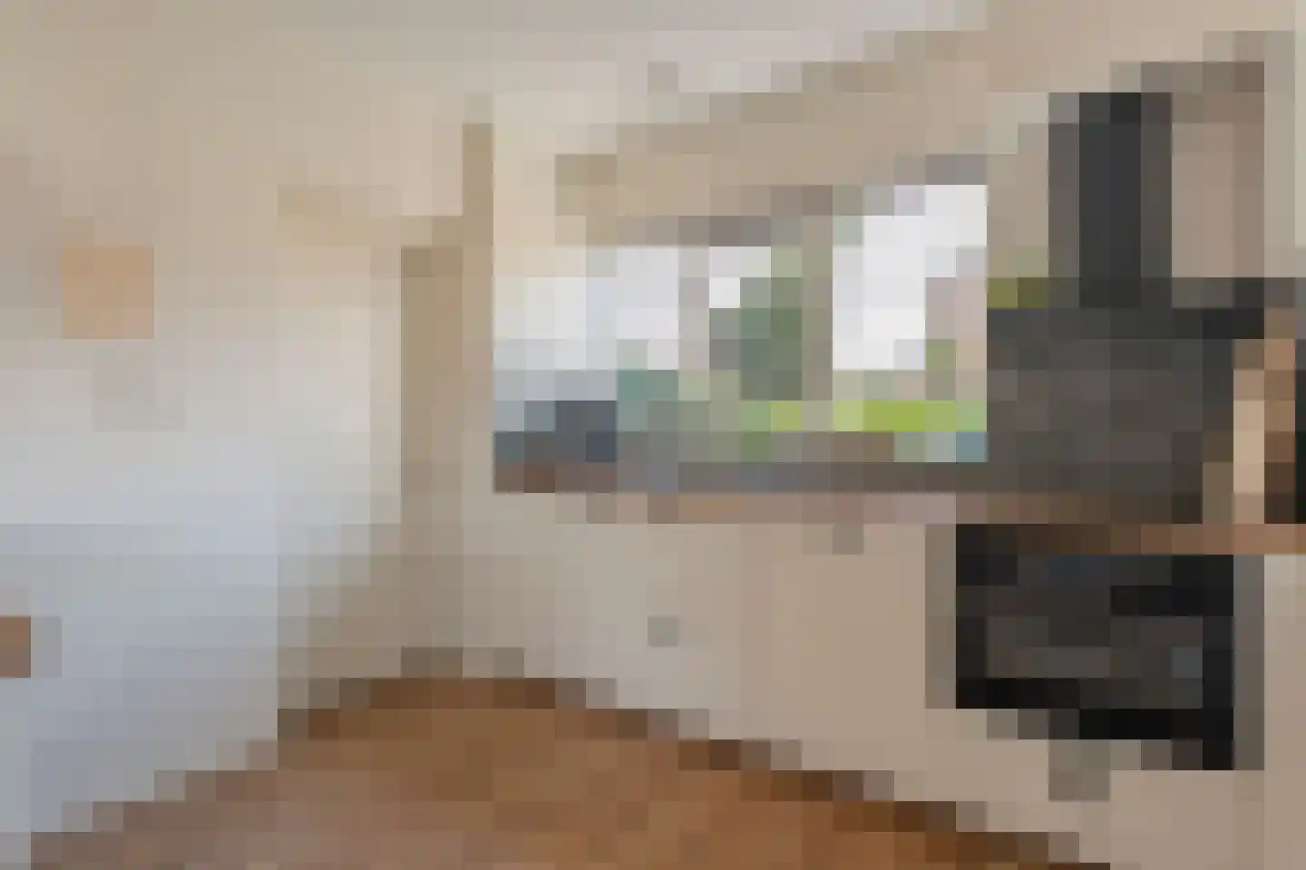 Vlasstraat 20 Diever thumbnail 8