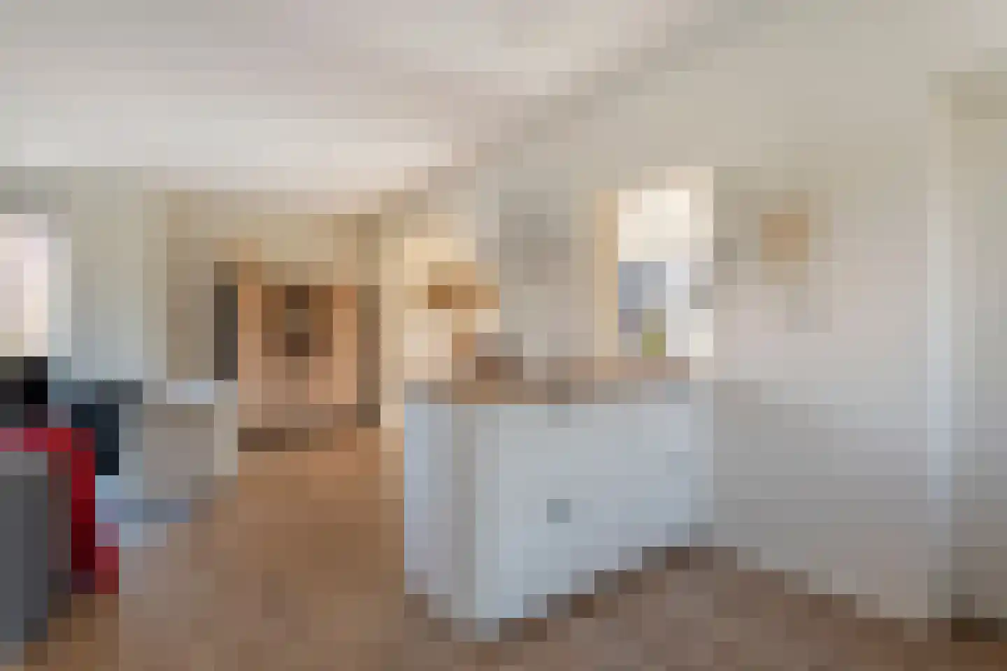 Vlasstraat 20 Diever thumbnail 9