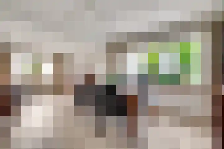 Vlasstraat 26 Heythuysen thumbnail 10