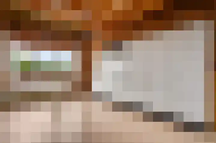Vlasstraat 26 Heythuysen thumbnail 27