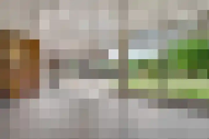 Vlasstraat 26 Heythuysen thumbnail 46
