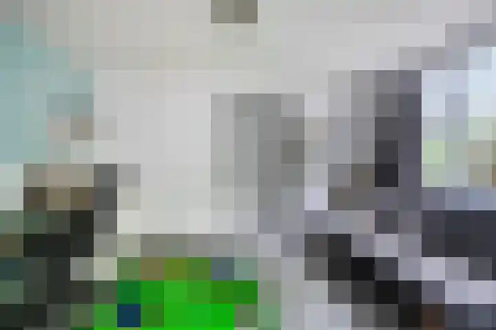 Vlasstraat 27 Heikant thumbnail 19