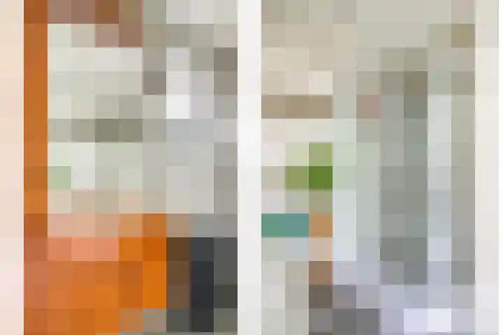 Vlasstraat 27 Heikant thumbnail 20