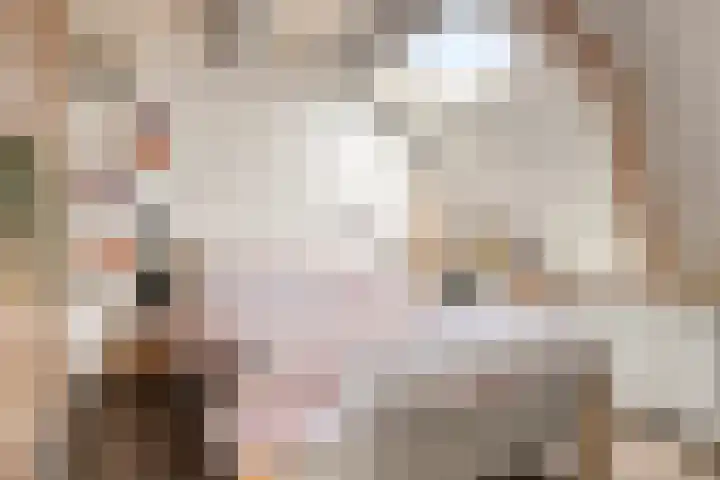 Vlasstraat 27 Heikant thumbnail 23