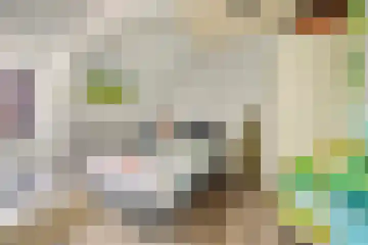 Vlasstraat 27 Heikant thumbnail 25