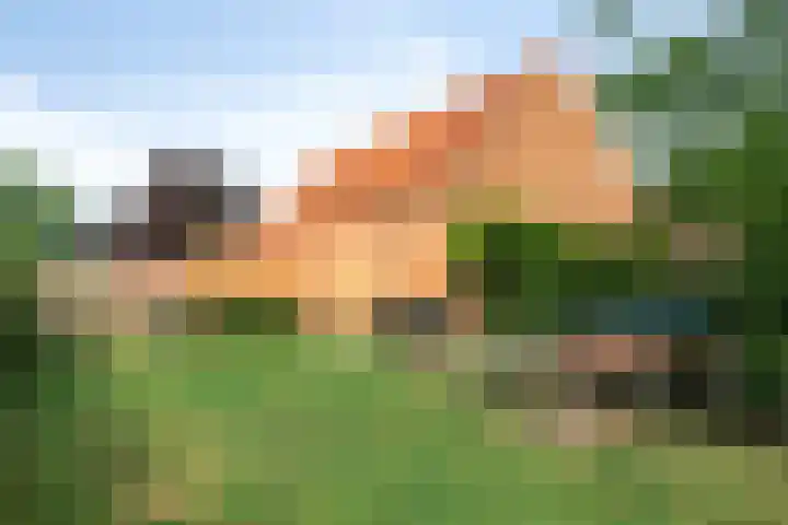 Vlasstraat 27 Heikant thumbnail 32