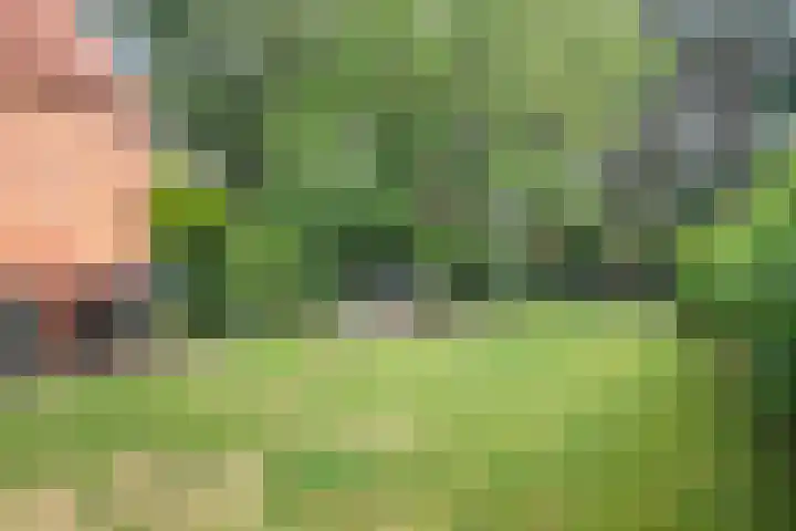 Vlasstraat 27 Heikant thumbnail 33
