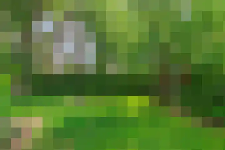 Vlasstraat 27 Heikant thumbnail 36