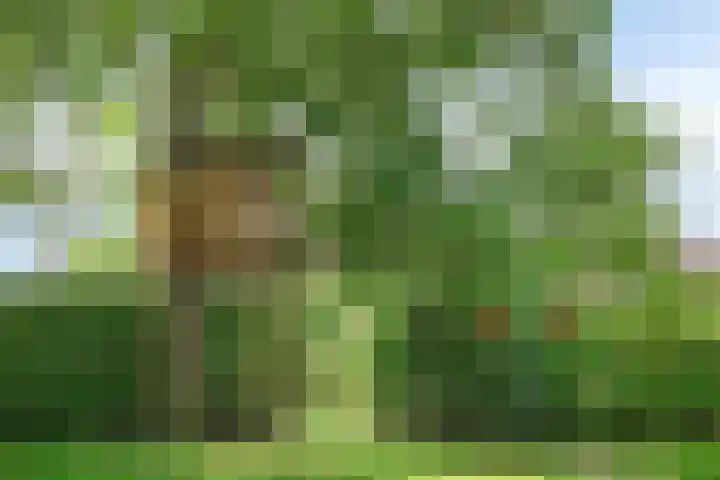 Vlasstraat 27 Heikant thumbnail 37