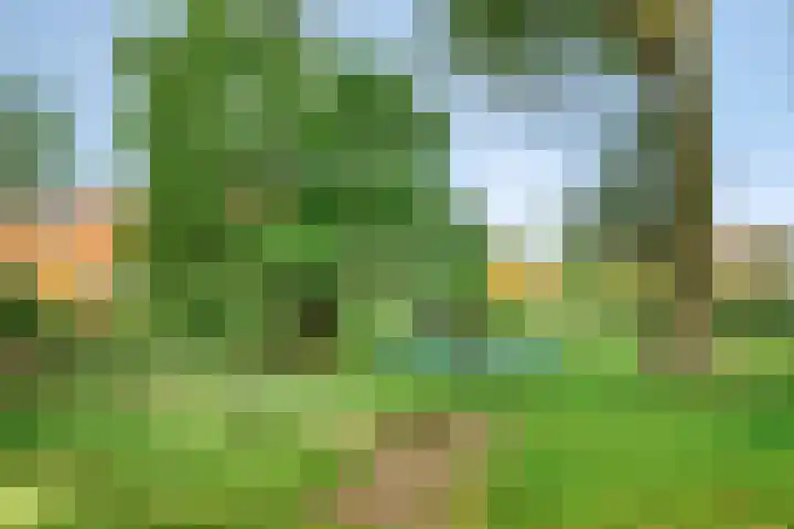Vlasstraat 27 Heikant thumbnail 38