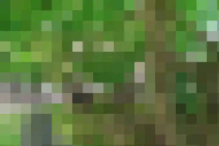 Vlasstraat 27 Heikant thumbnail 40
