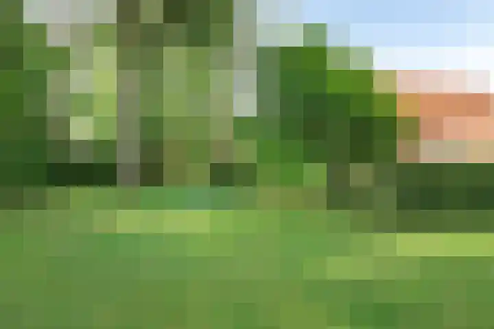 Vlasstraat 27 Heikant thumbnail 41