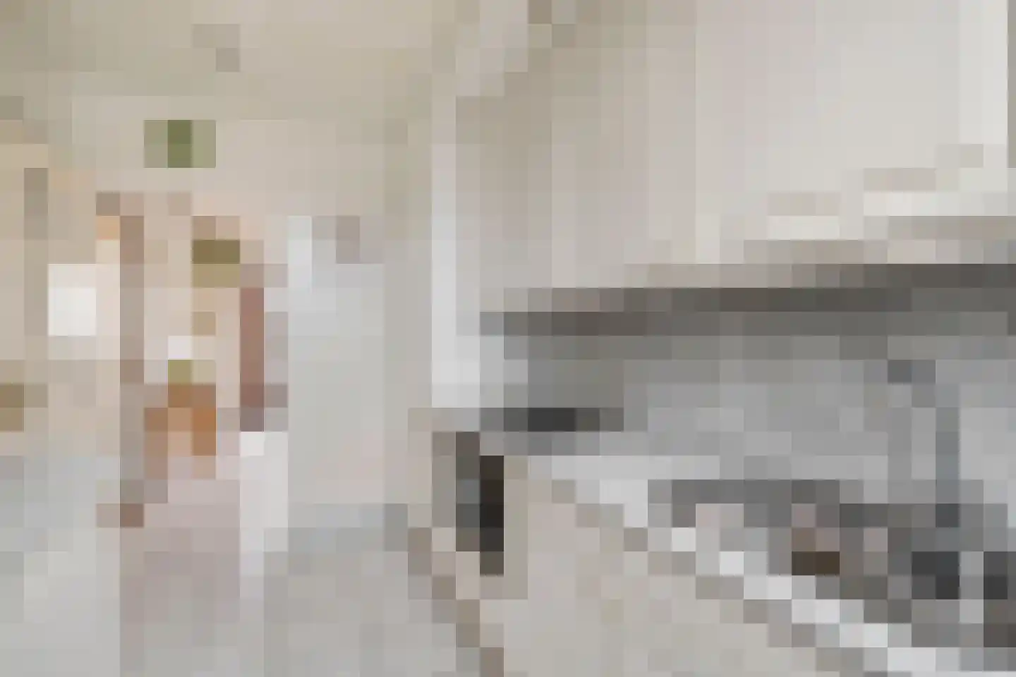 Vlasstraat 28 Zuidland thumbnail 12