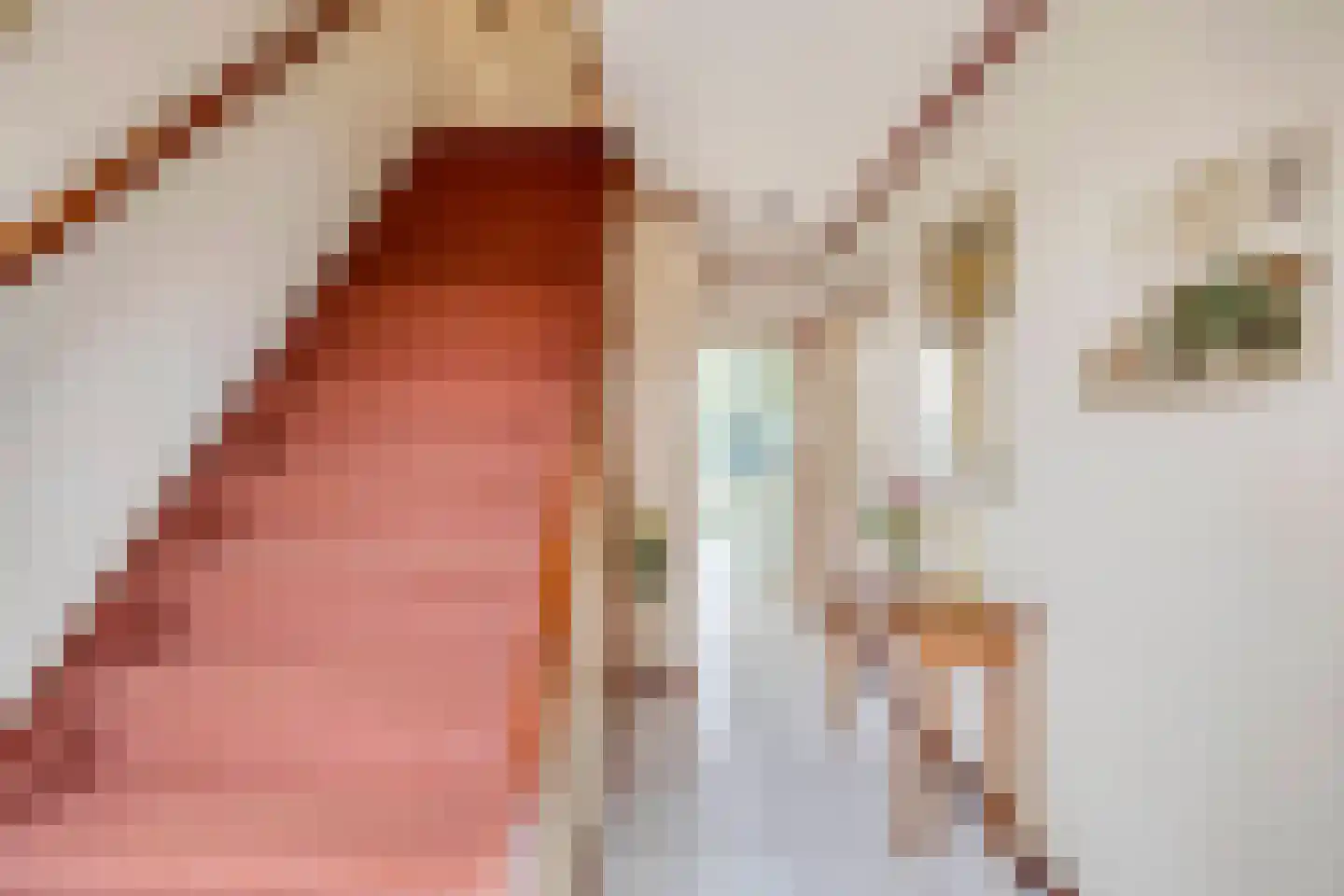 Vlasstraat 28 Zuidland thumbnail 13