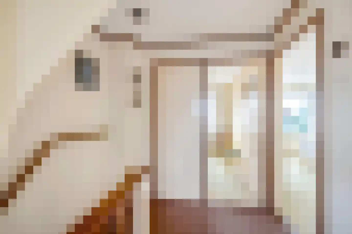 Vlasstraat 28 Zuidland thumbnail 14