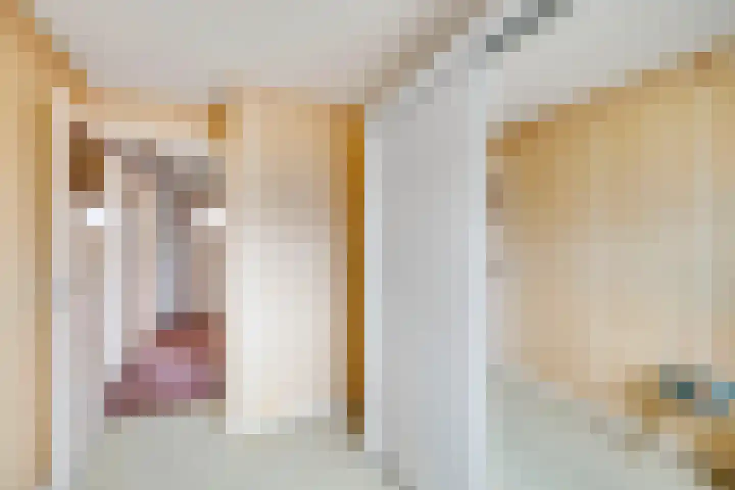 Vlasstraat 28 Zuidland thumbnail 18