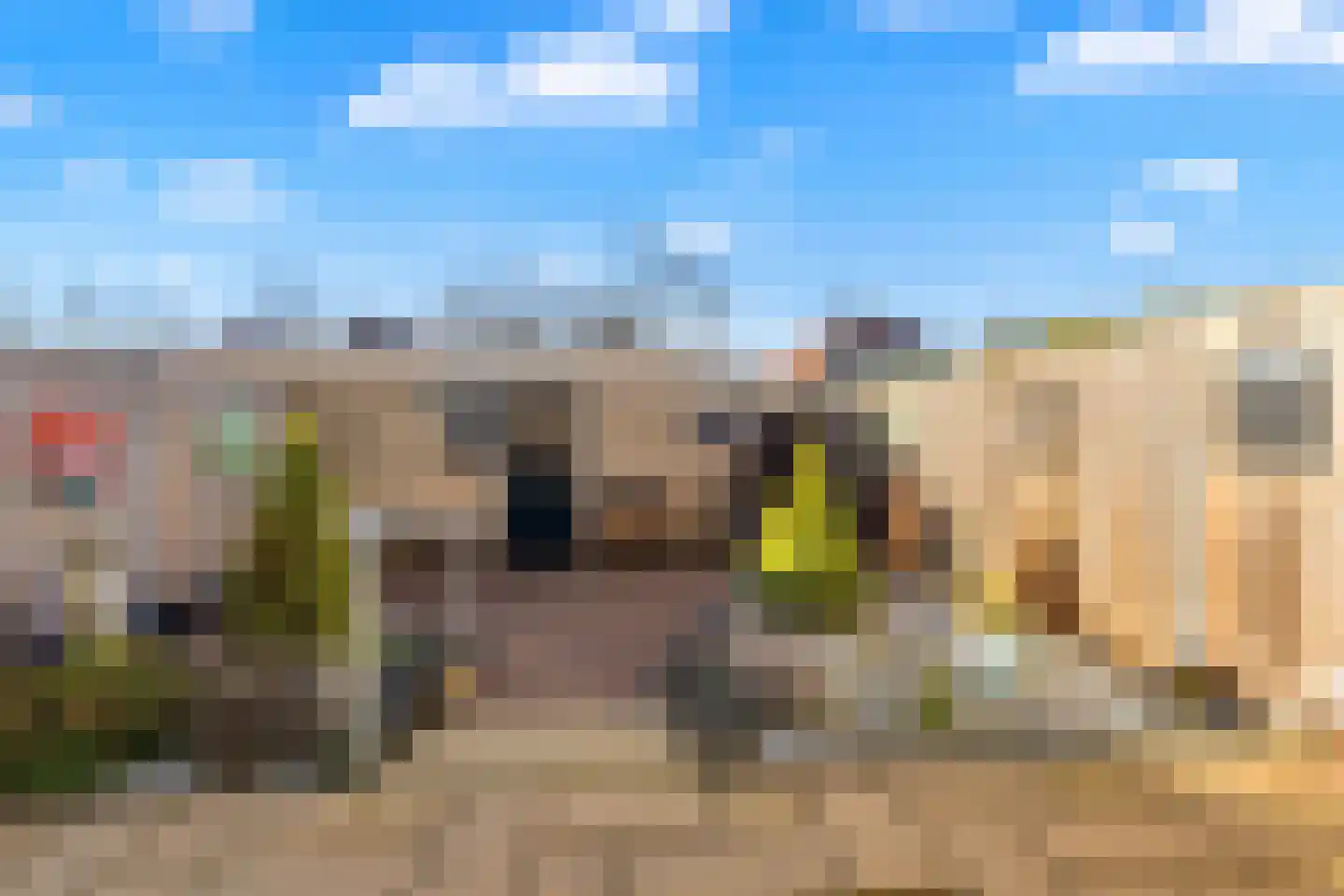 Vlasstraat 28 Zuidland thumbnail 32