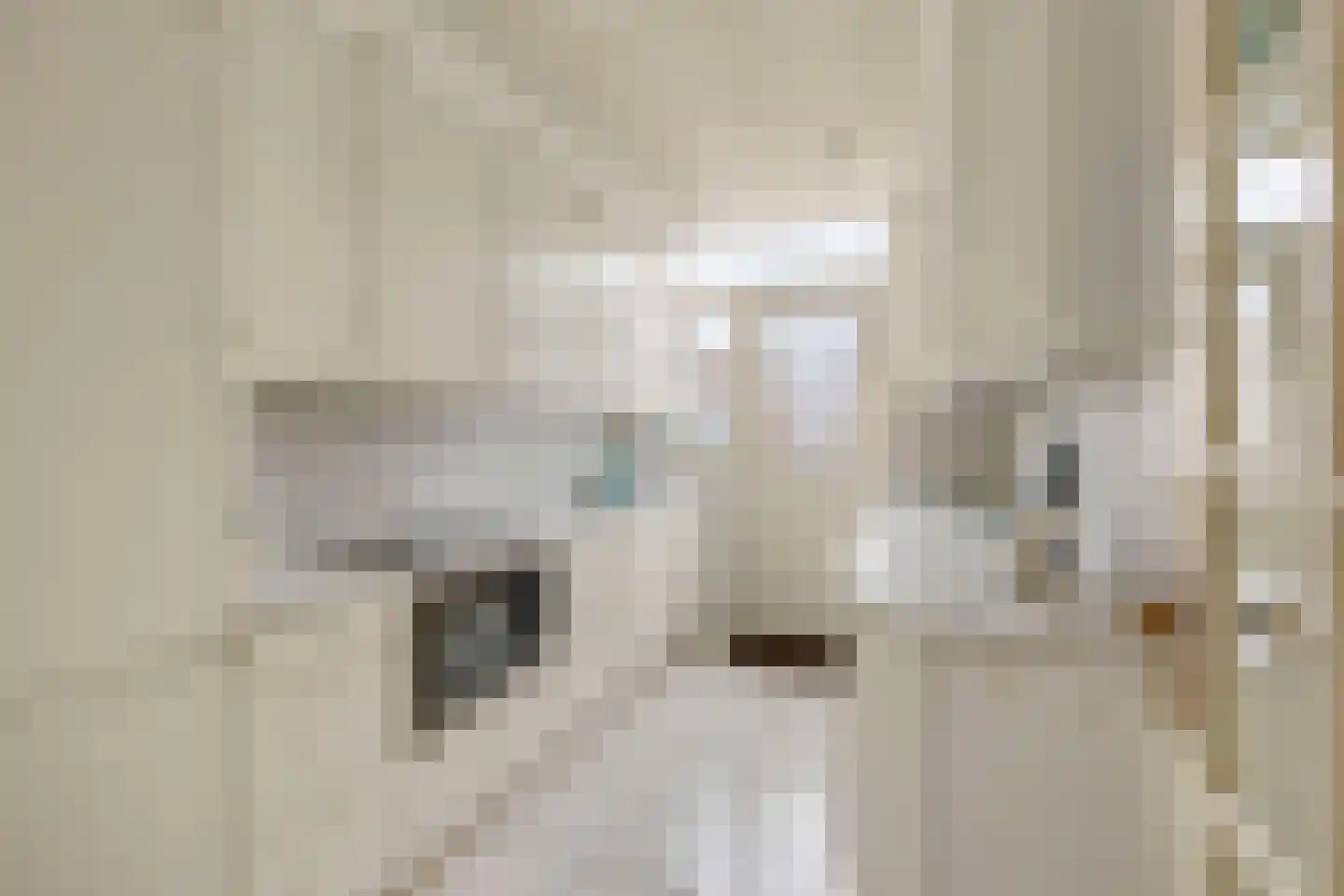 Vlasstraat 28 Zuidland thumbnail 4