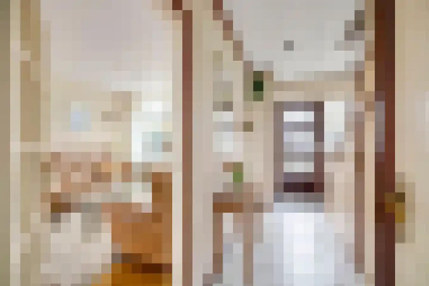 Vlasstraat 28 Zuidland thumbnail 8