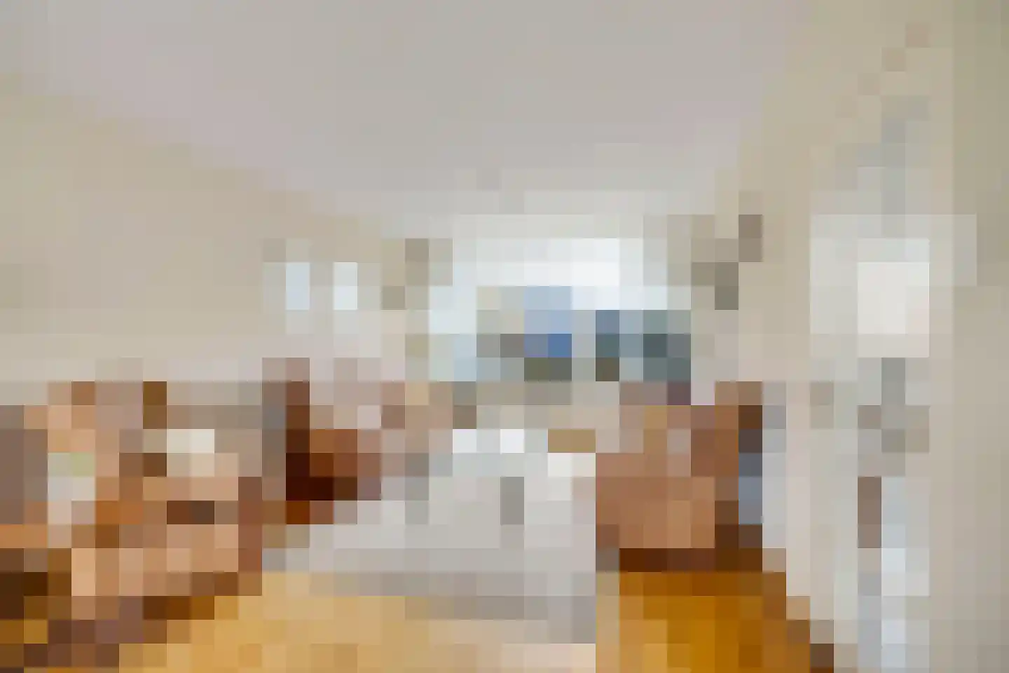 Vlasstraat 28 Zuidland thumbnail 9
