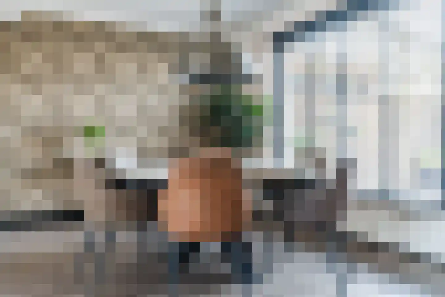 Vlasstraat 29 Geldrop thumbnail 13