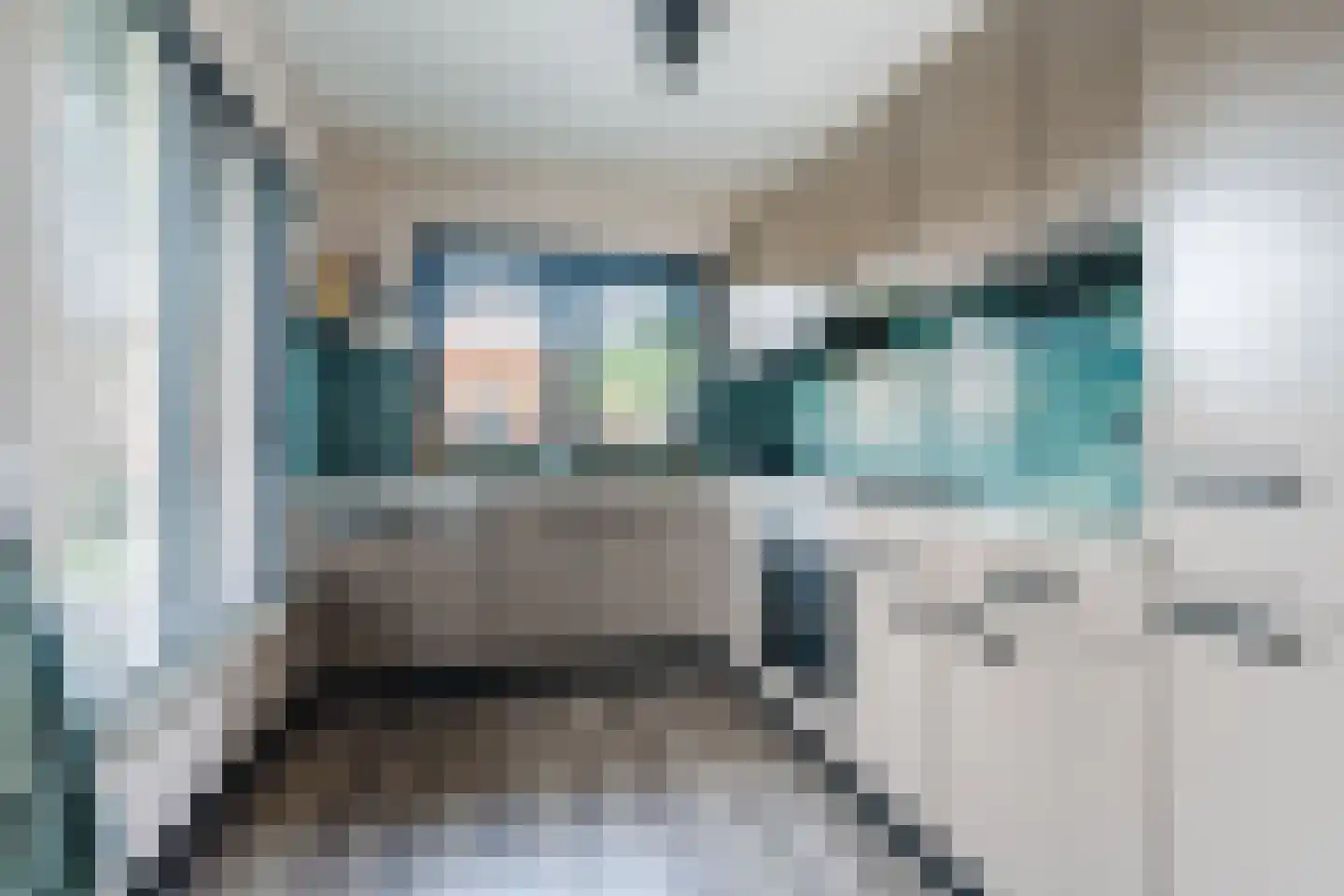 Vlasstraat 29 Geldrop thumbnail 17