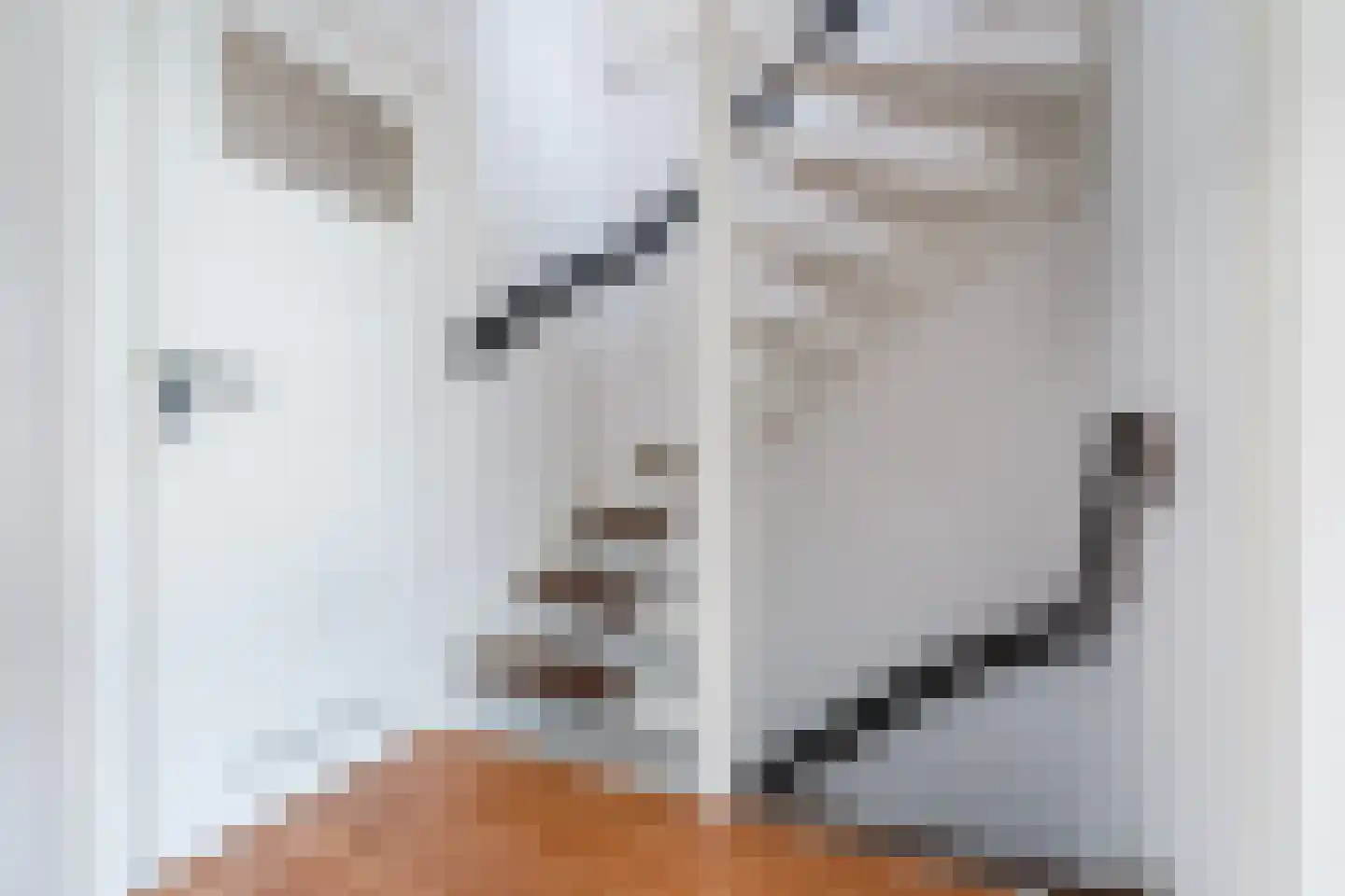 Vlasstraat 29 Geldrop thumbnail 21