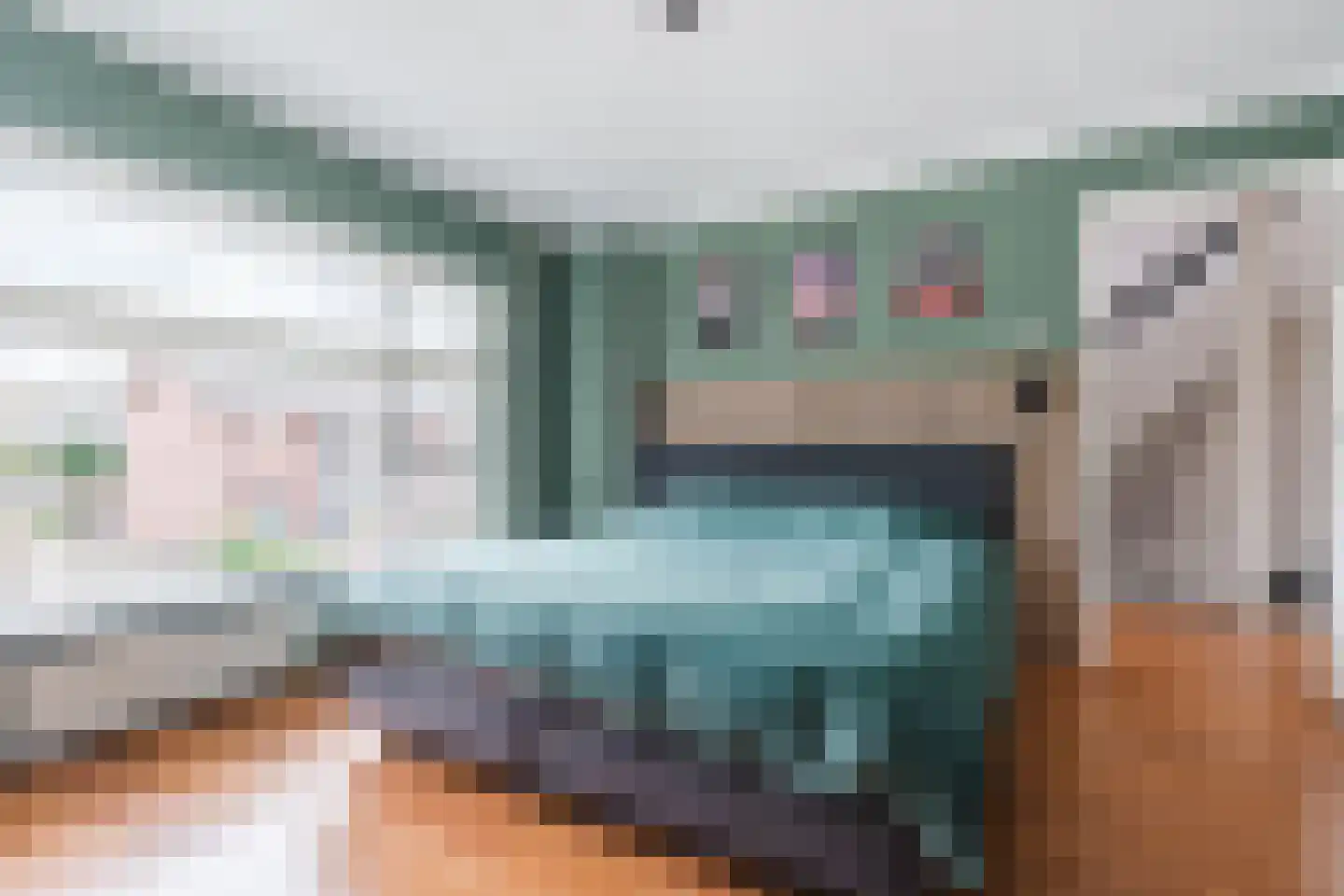 Vlasstraat 29 Geldrop thumbnail 23