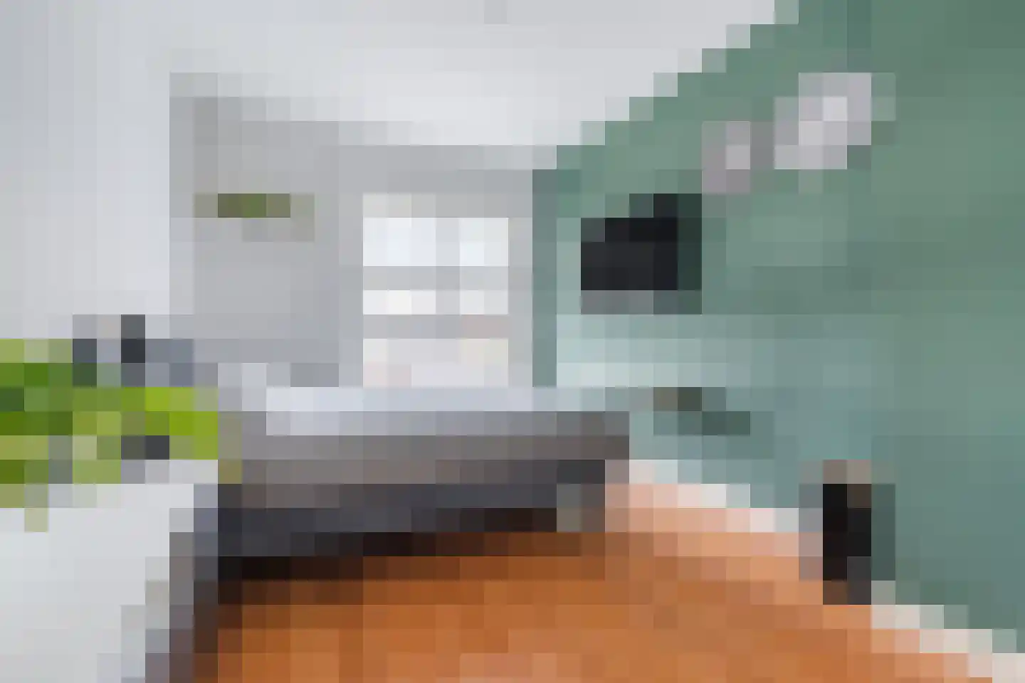 Vlasstraat 29 Geldrop thumbnail 24